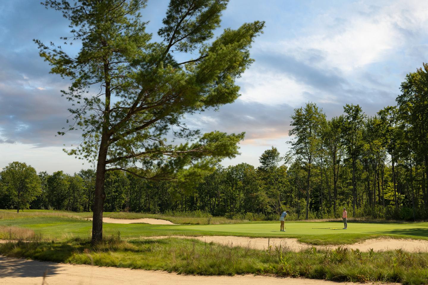 Golf course with trees and two golfers under a blue sky.
