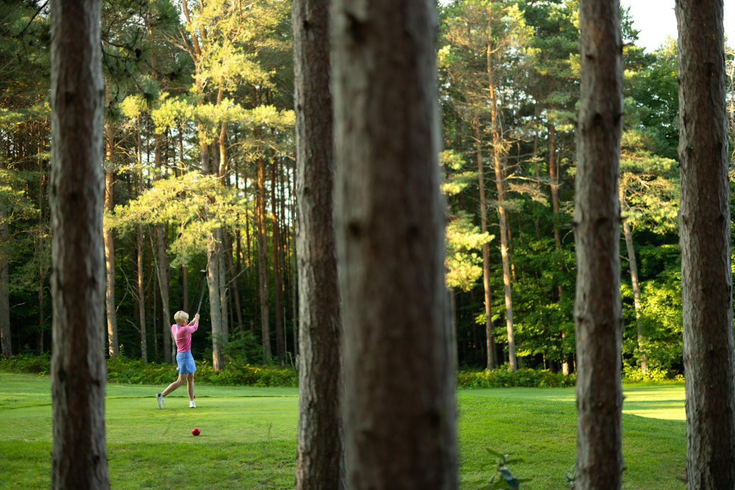 Golfer in pink shirt swings club on green, surrounded by tall trees.