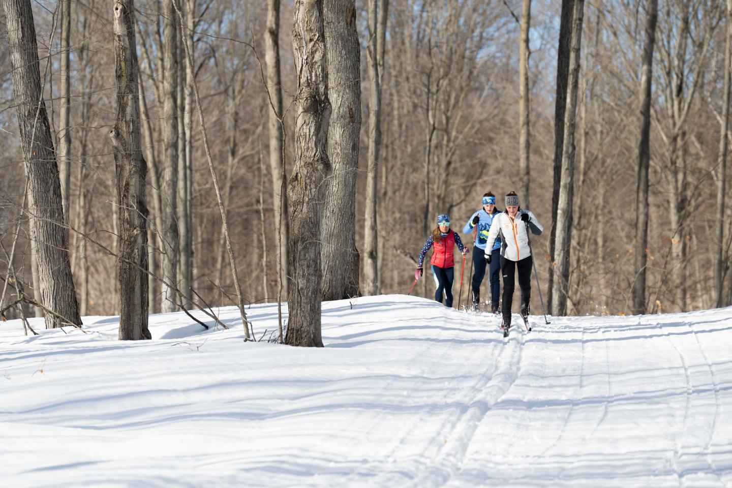 Skiers on a snowy trail in a forest, with bare trees and blue sky.