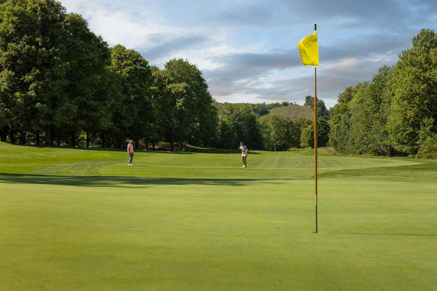 Golf course with flag, trees, and two golfers in the distance.