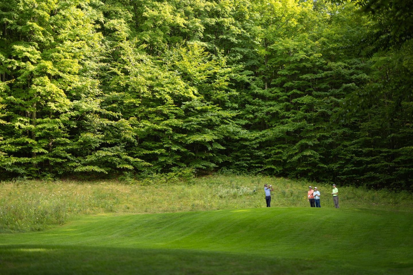 Four people stand on a grassy field in front of dense green trees.