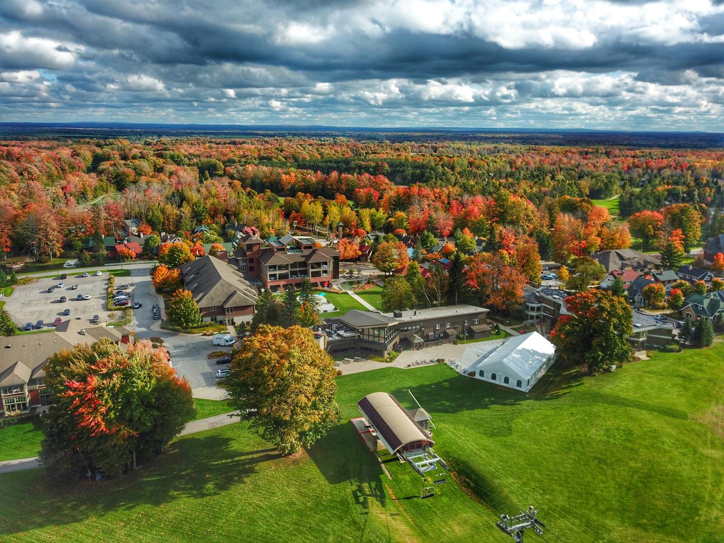 Aerial view of autumn foliage around buildings and green fields under cloudy sky.