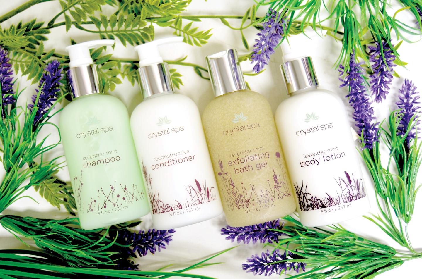 Four skincare bottles surrounded by lavender plants.