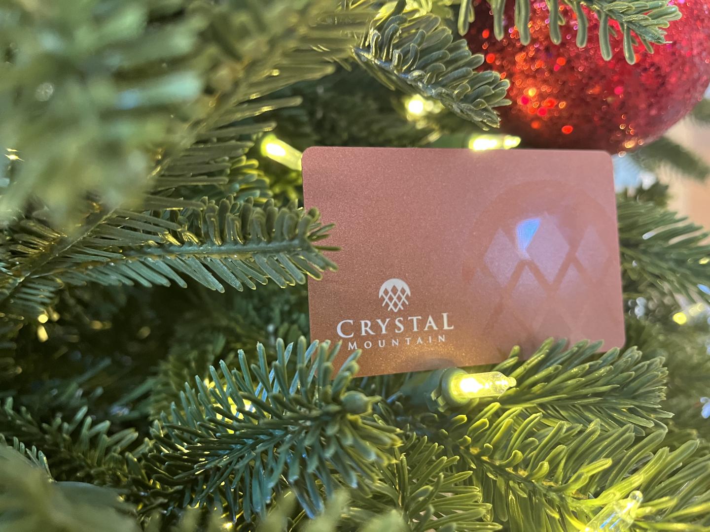 Gift card on Christmas tree with red ornament and lights.