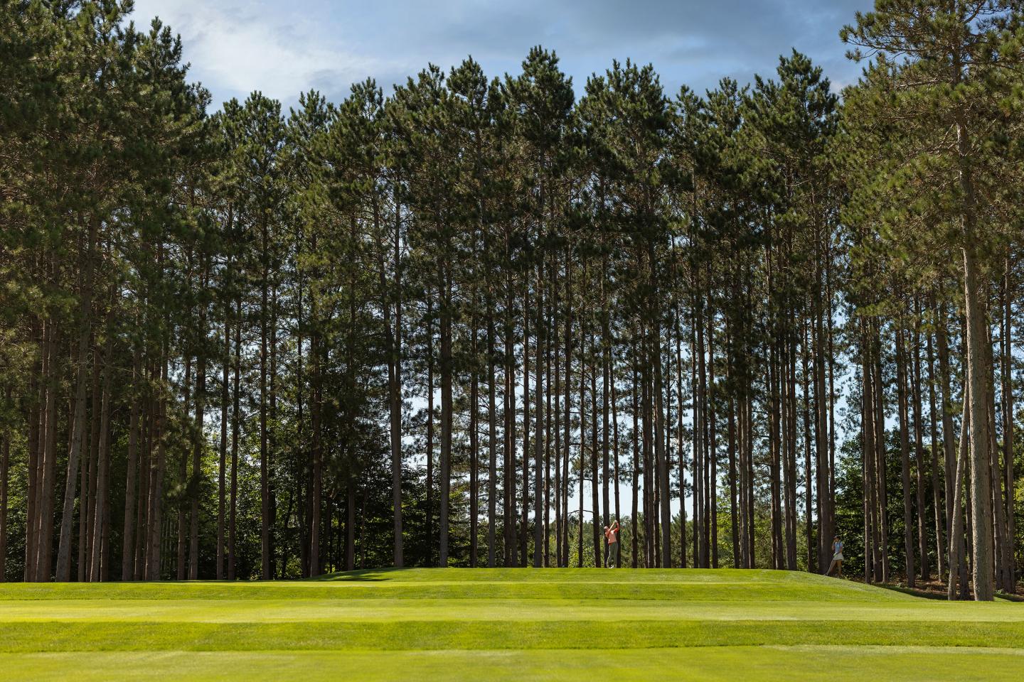 Golf course with green fairway and tall trees under a blue sky.