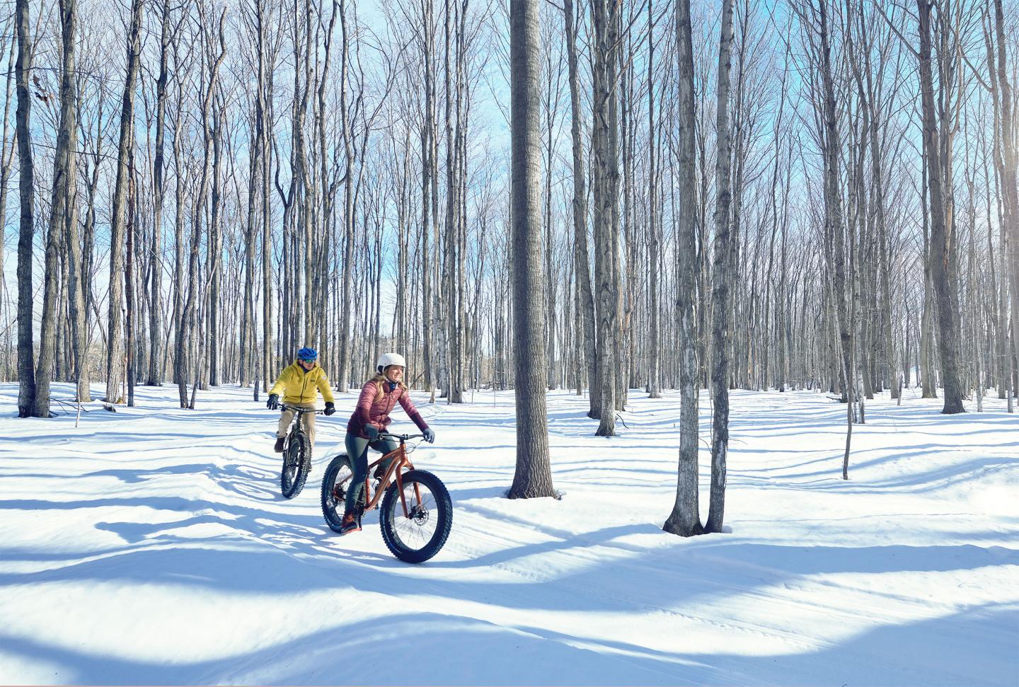 Two people riding fat bikes through snowy forest.
