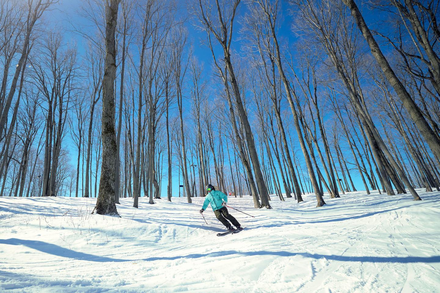 Skier in blue jacket glides through snowy glades under clear blue sky.