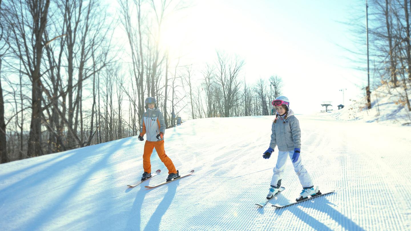 Two people skiing on a snowy slope, surrounded by leafless trees under a bright sun.