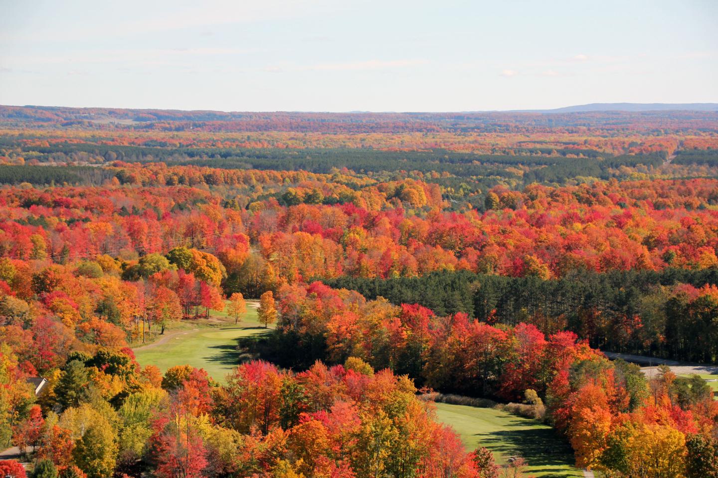 Aerial view of a golf course with vibrant fall foliage in red and orange leaves.