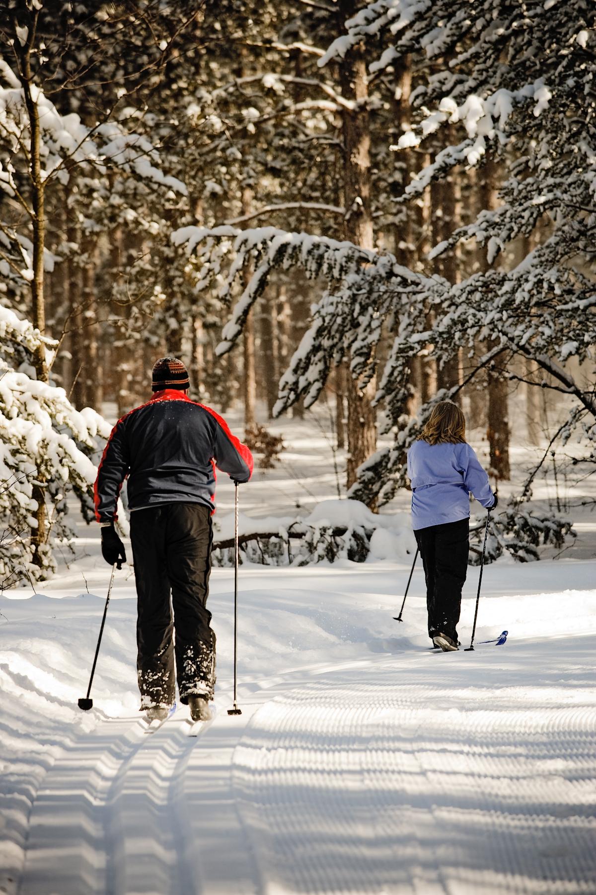 Two people cross-country skiing on a snowy forest trail.