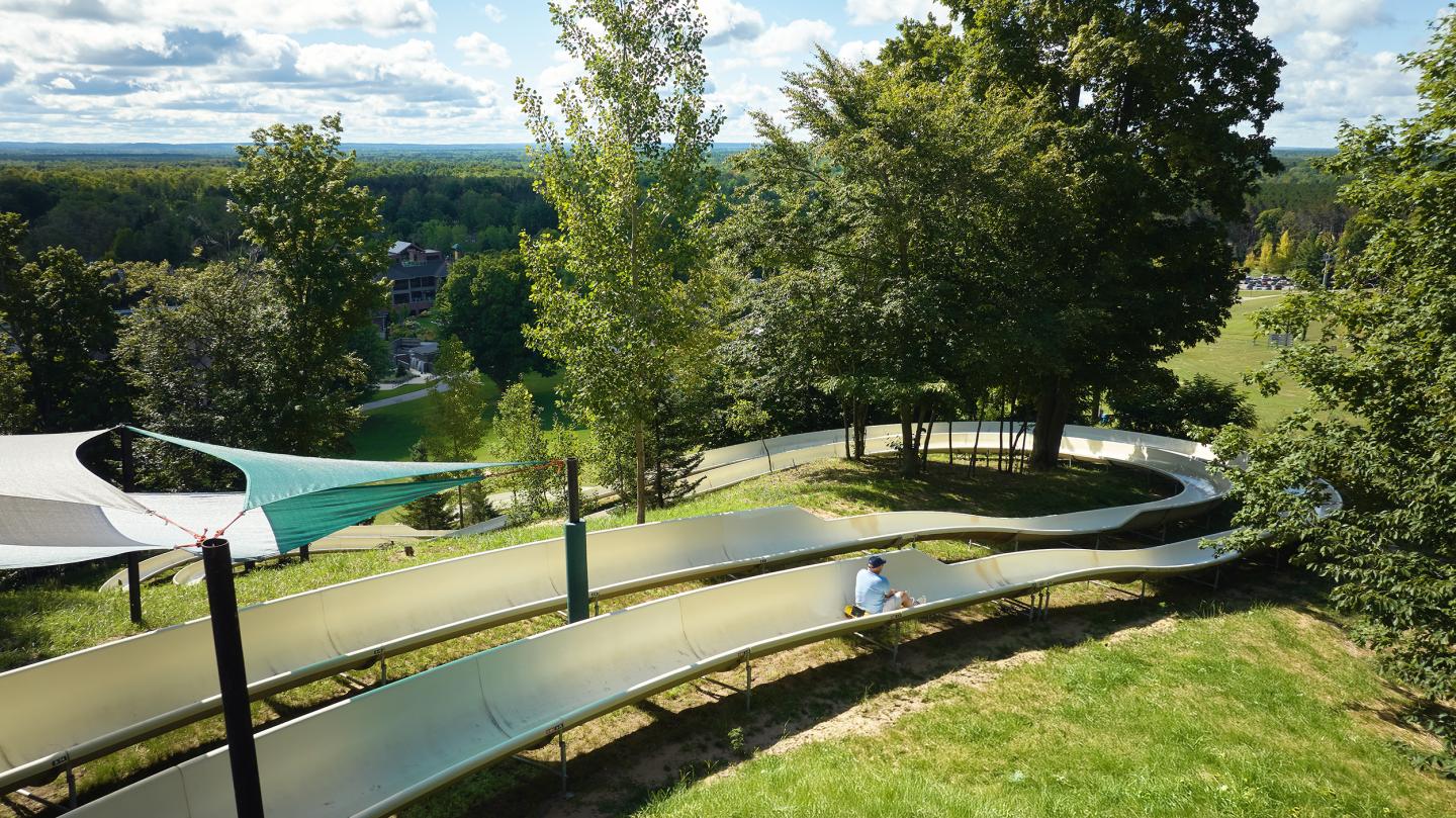 Person sliding down a curving track in a lush park with trees.