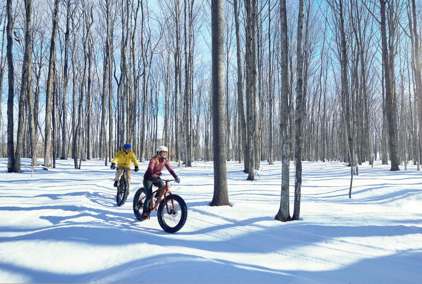 Two people riding bikes in a snowy forest on a sunny day.