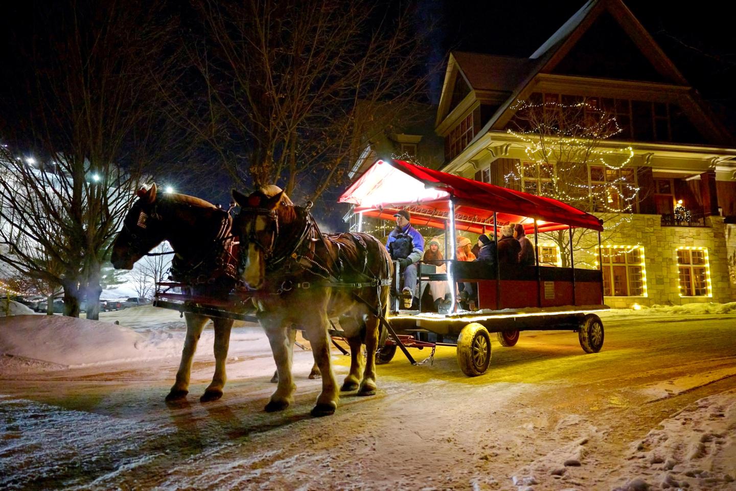 Horse-drawn carriage with holiday lights outside a house at night.