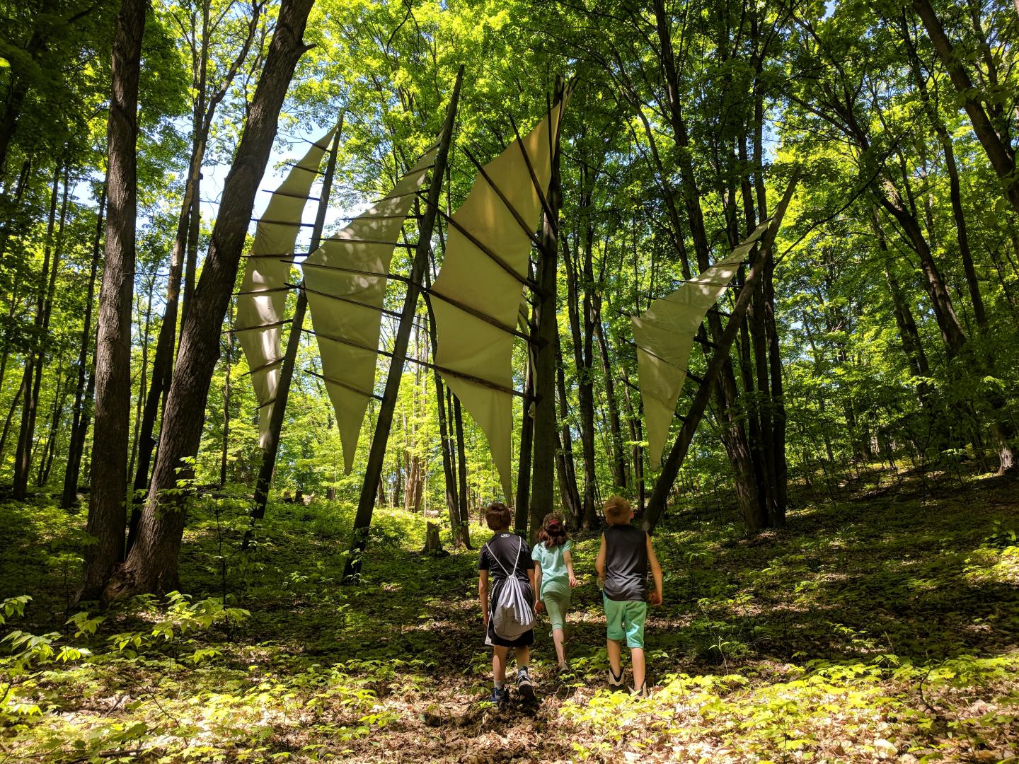 Three kids walk through a sunlit forest with geometric fabric art between trees.