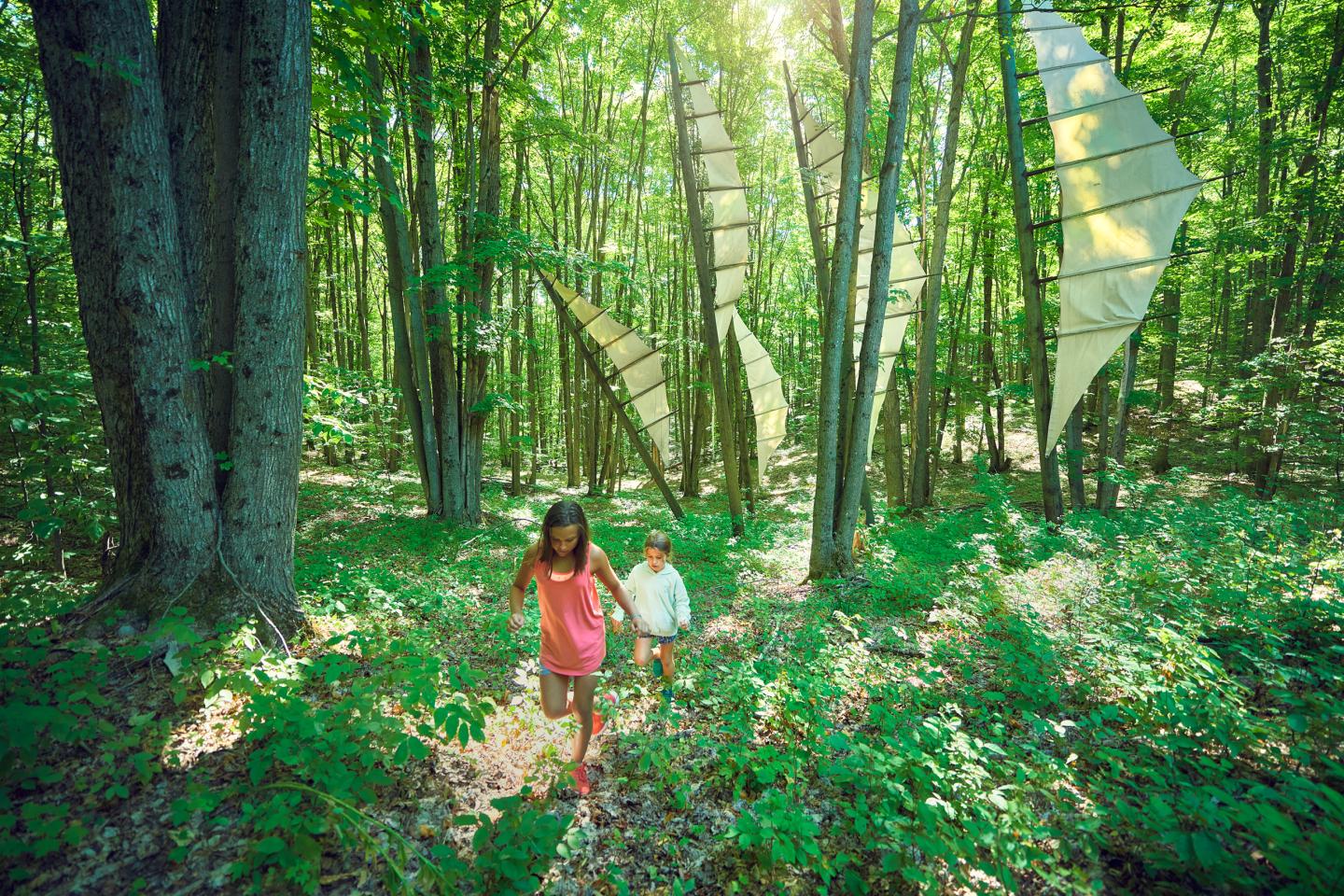 Children walking through a sunlit forest with large, white sails among trees.