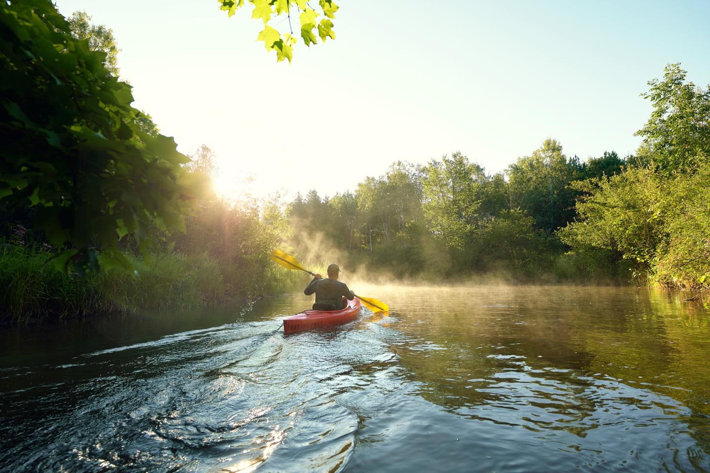 Kayaker paddling on a misty river at sunrise surrounded by lush greenery.