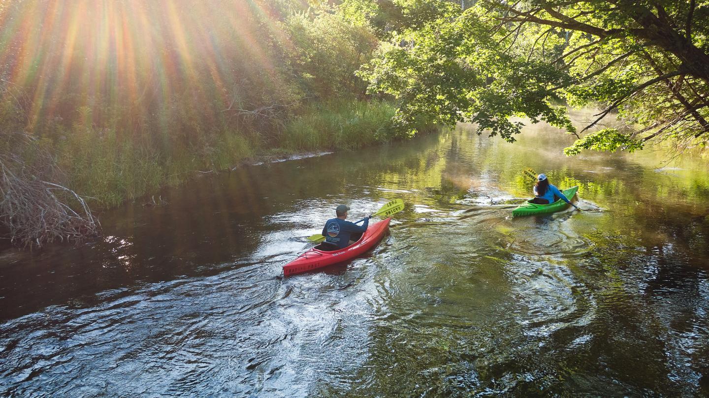 Two kayakers paddle on a sunlit river under leafy trees.