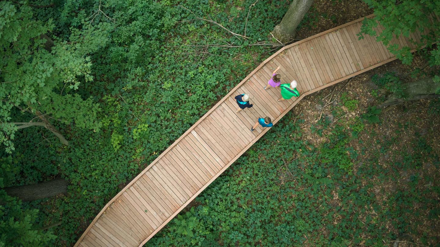 Wooden walkway through green forest with several people walking.