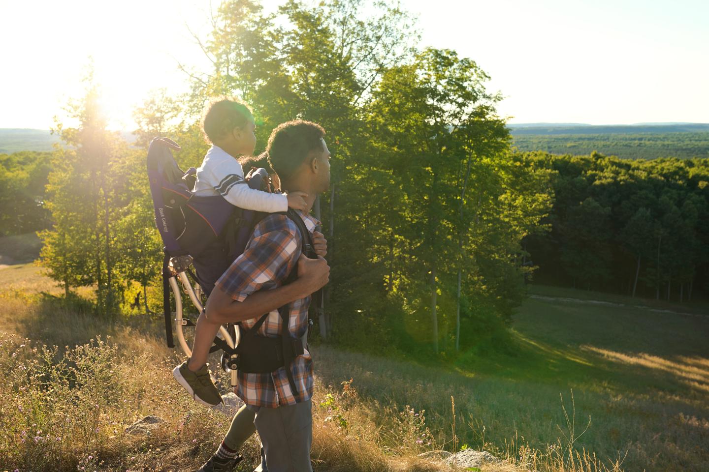 Father carrying child in a backpack carrier, walking through a sunlit forest.