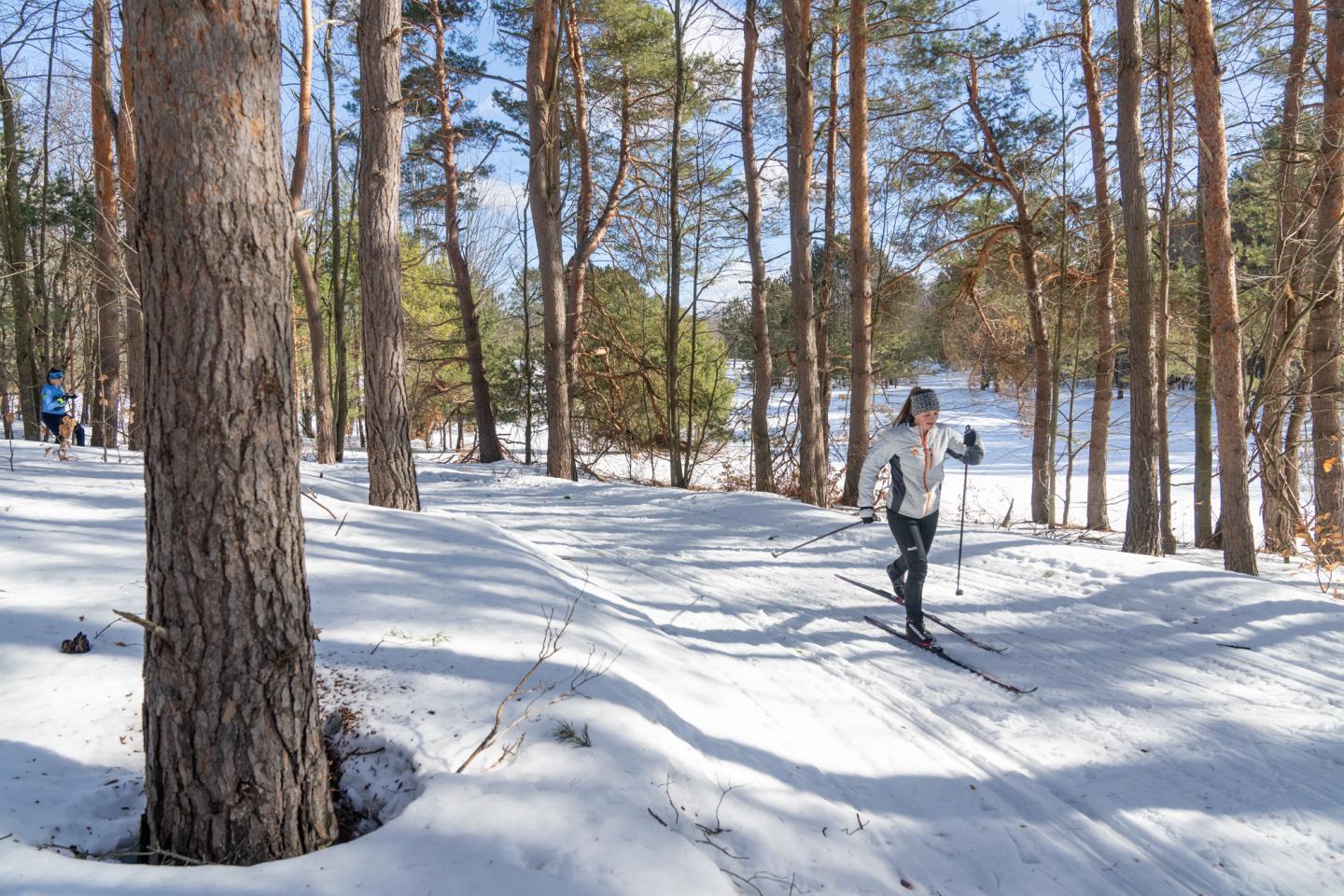 Person cross-country skiing in snow-covered forest on a sunny day.
