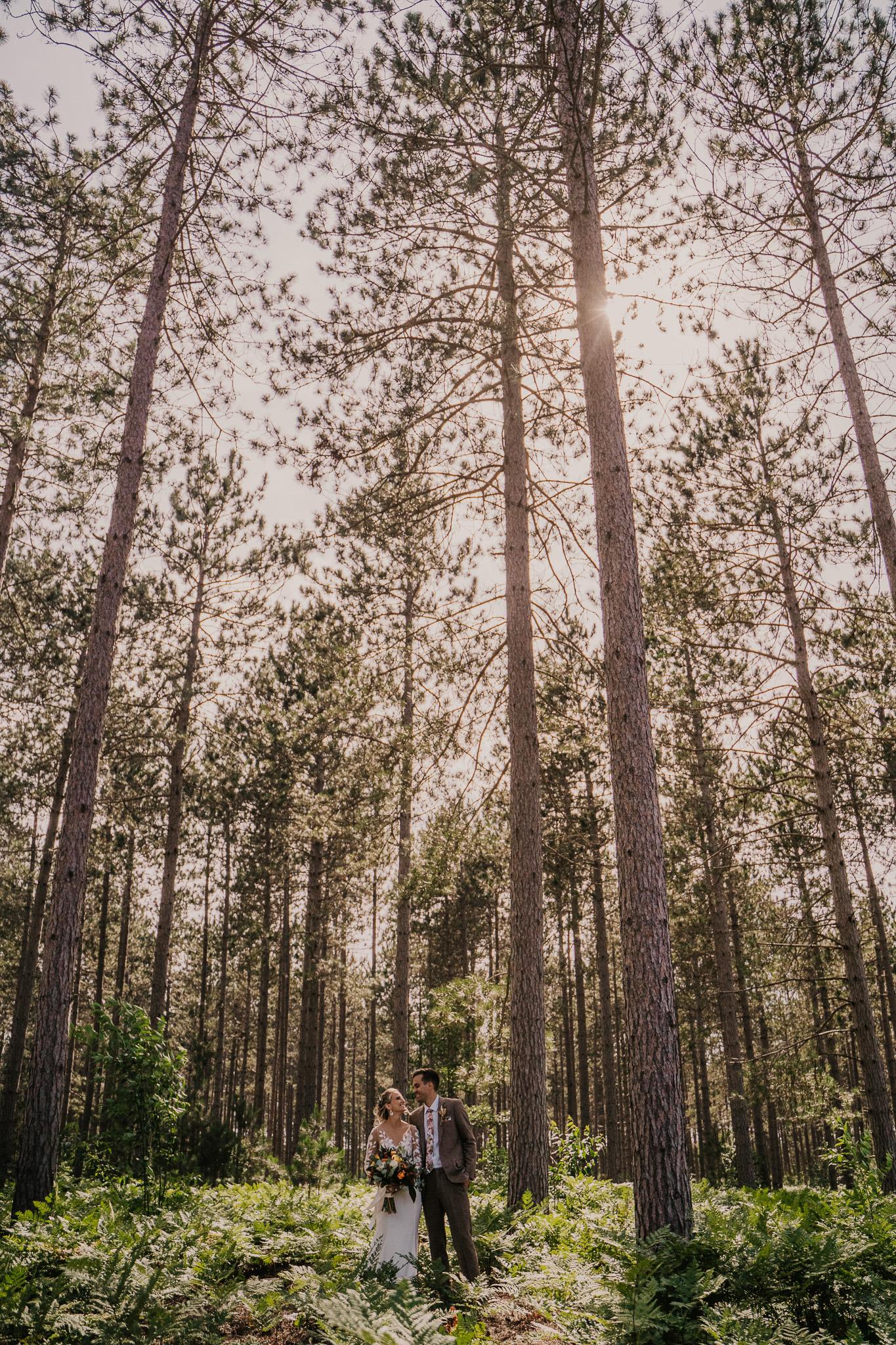 Couple stands in a sunlit forest, tall trees surrounding them.